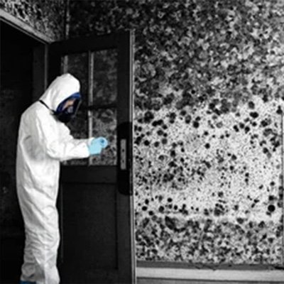 mould removal Belfast & Northern Ireland